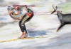 Skijäger
